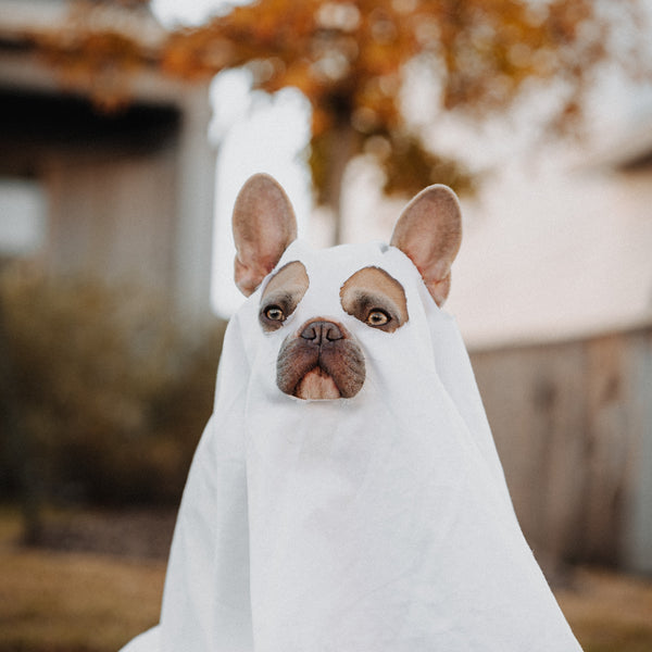 4 last-minute Halloween costume ideas!