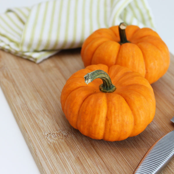 3 pumpkin recipes to try this fall 🎃