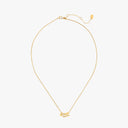 Alpha Delta Pi Collection