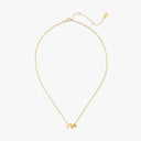 Gamma Phi Beta Collection