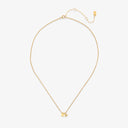 Kappa Delta Collection