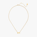 Zeta Tau Alpha Collection