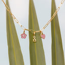 Alpha Chi Omega Collection