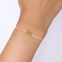 Alpha Phi Collection