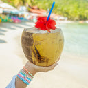 Fortune Beach Stretch Pack Set of 8