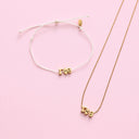 Gamma Phi Beta Collection