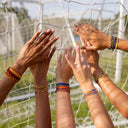 Navy & Orange Collection