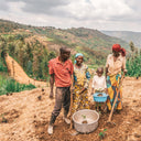 One Tree Planted Bracelet